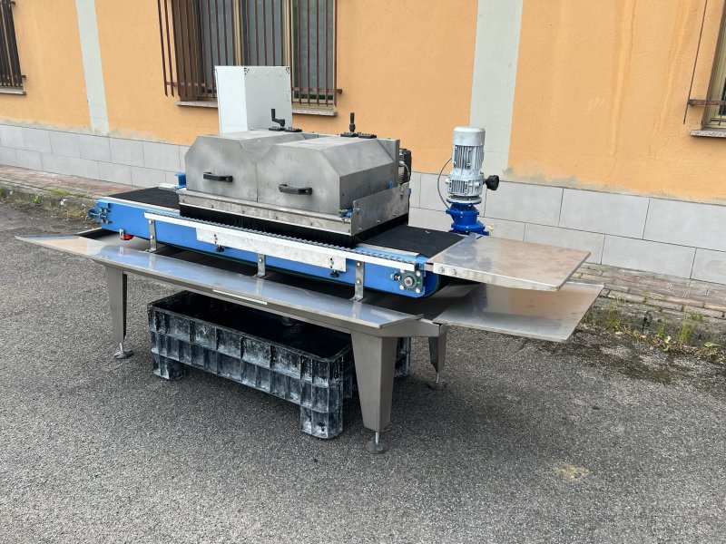 FERRARI E CIGARINI tmc2  2022